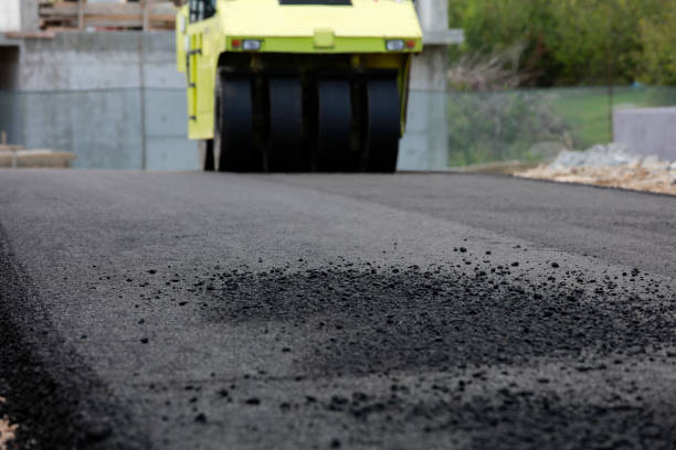 Best Local Driveway Pavers  in Charleston, SC